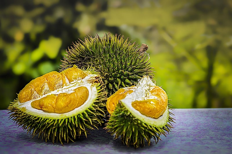 Nutrient-rich recipes